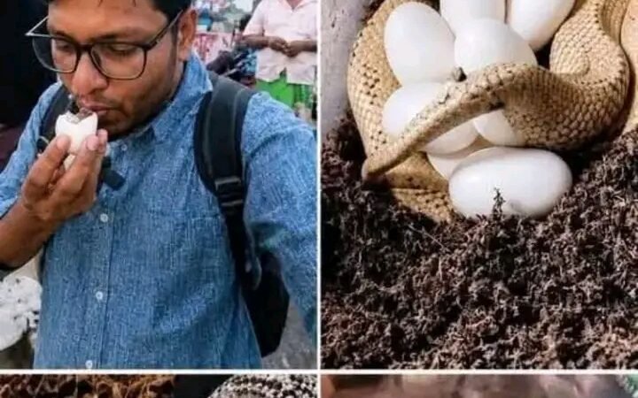 ছেলেটি রাস্তায় সেদ্ধ ডিম কিনে খাচ্ছিলো কিছুক্ষণ পরে তার পুরো শরীর…See more